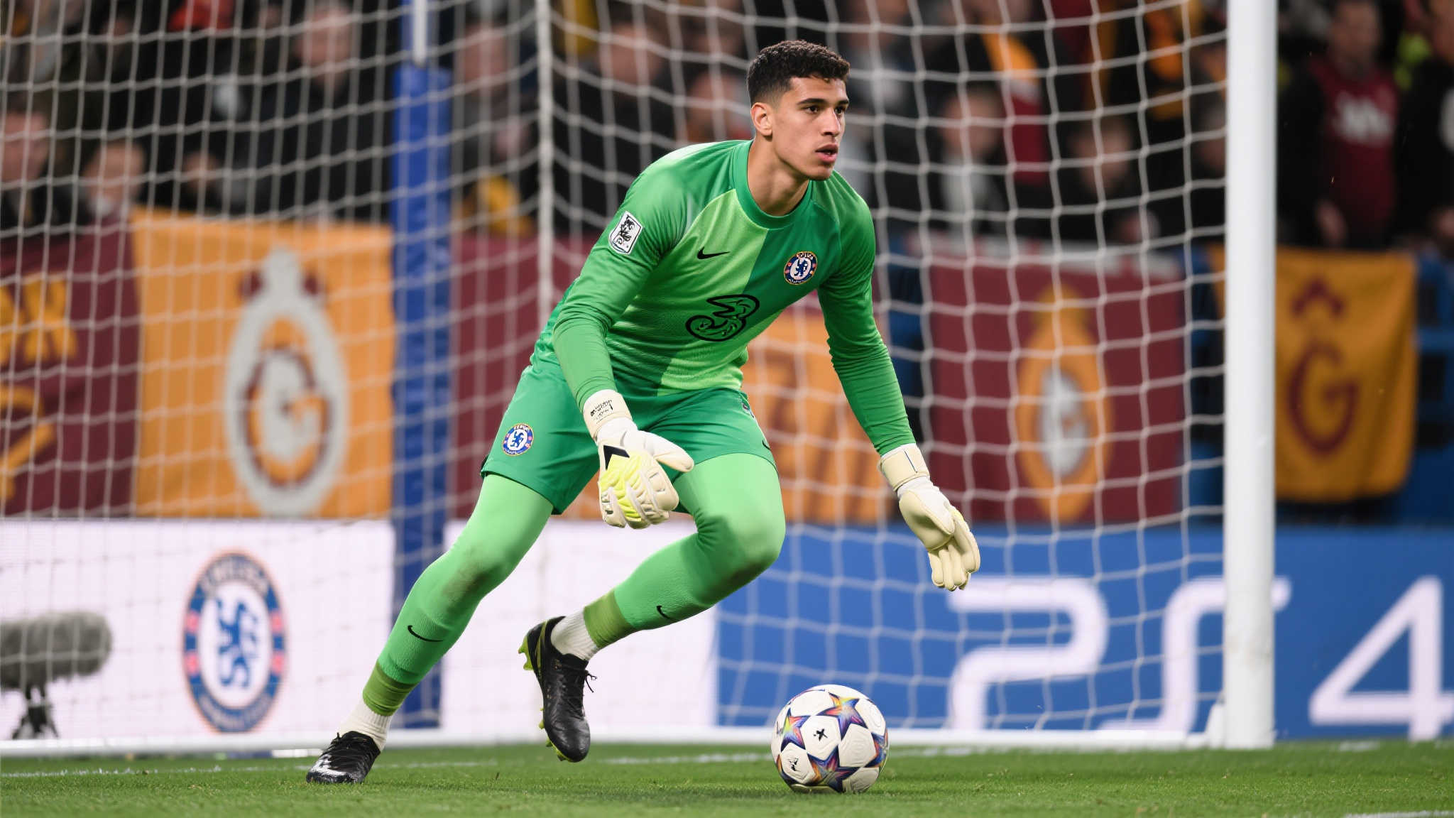 运动细胞再生医学